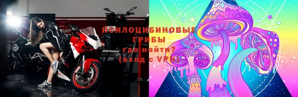 ПСИЛОЦИБИНОВЫЕ ГРИБЫ Новокубанск